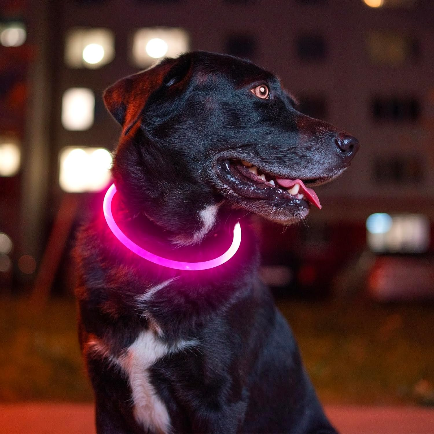 led-dog-collar-usb-rechargeable-flash-dog-necklace-light-pet-safety-collar-makes-your-beloved-dogs-be-seen-at-night-for-small-medium-large-dogspink
